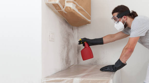 Attic Mold Remediation treatment on roof deck in Houston